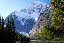 开元棋牌官方APP下载-狐狸意气风发，主场对决富勒姆万众瞩目